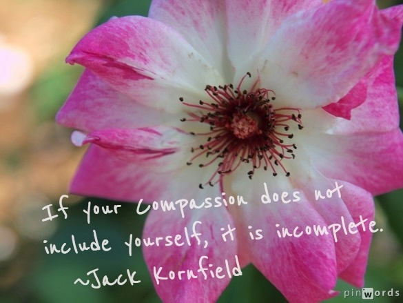 Mindful Self-Compassion One Day Core Skills Workshop